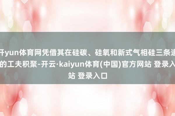 开yun体育网凭借其在硅碳、硅氧和新式气相硅三条道路的工夫积聚-开云·kaiyun体育(中国)官方网站 登录入口